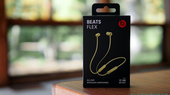 Tổng quan Beats Flex